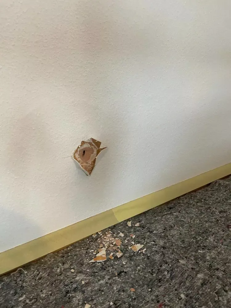 Réparation en plâtrerie et peinture d&rsquo;une cloison en brique suite à un sinistre